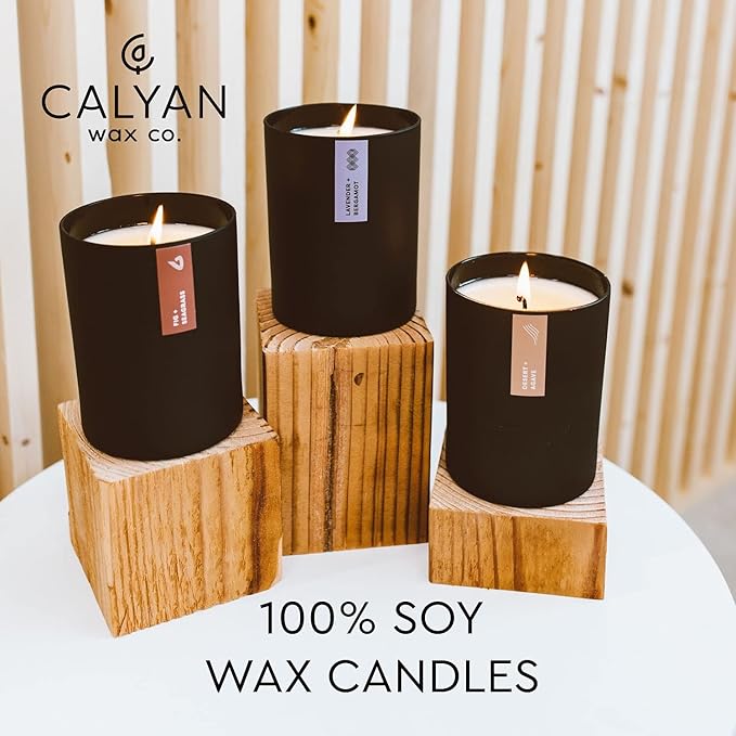 Calyan Wax Co. Home & Holiday Scented Candle - 75 Hour Burn - Luxury Non Toxic Soy Wax Candles - Long Lasting Black Tumbler Jar Candle for Home - 10.2oz
