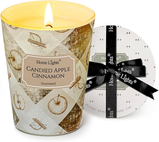 HomeLights Large jar Candle | 1-Wick Long-Lasting Scented Candles, 6.7oz Natural Soy Wax Candle for Home Scented, Rustic Modern Gifts for Women & Men, Candied Apple Cinnamon