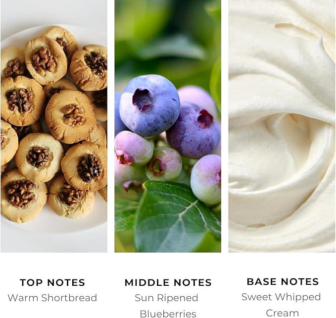 Brilliant Scents Blueberry Shortbread Fragrance Oil 50ml - Premium Diffuser Oil for Home, Office, Hotels - Long Lasting, Plant-Based, Meets IFRA Standards, USA-Made - Blueberries, Whipped Cream Scent