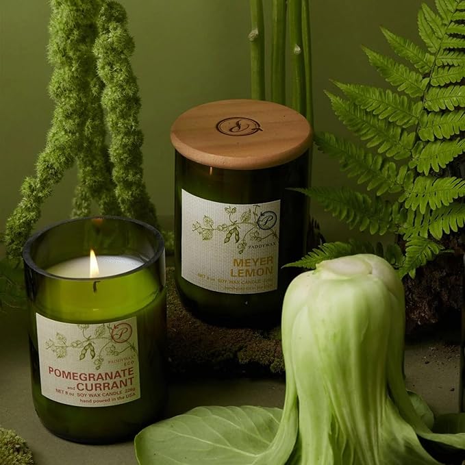 Paddywax Eco Green Collection Soy Wax Blend Candle in Glass Jar, Meyer Lemon Scent, Green Vessel with Wood Lid, 8 oz
