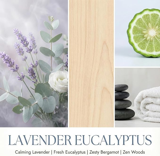 HomeLights Soy Wax Candles for Home Scented, 1-Wick Candles in Lavender Eucalyptus Scented, Aromatherapy Candles Gift for Parties, Relaxing, Scandinavian Minimalist Design, 6.7oz