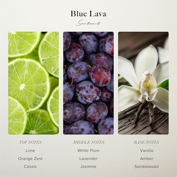 Scentiment Diffuser Oil - Blue Lava Designer Collection | Aromatherapy Home Fragrance | Luxurious Scent with Notes of Lime, Orange Zest, Cassis, Green Leaves (120 mL)