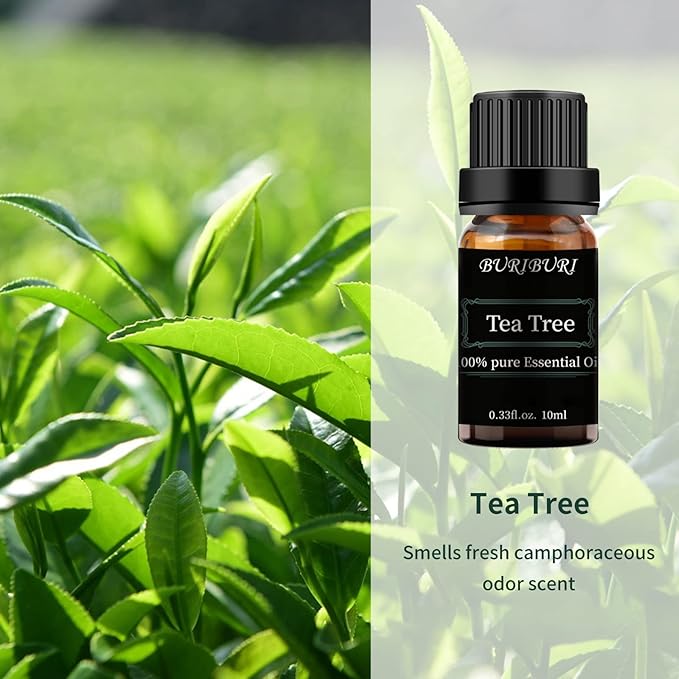 BURIBURI Tea Tree Essential Oil, 100% Pure, Undiluted, Natural Tea Tree Oil Aromatherapy Essential Oils 10ml for Diffuser, Massage