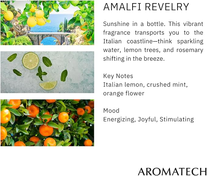AromaTech The Aromatic Citrus Set | Gift Set of Aroma Diffuser Essential Oils Blend of The Hotel, Amalfi Revelry, Bergamot Orange and Santal Escape - 60 Milliliter