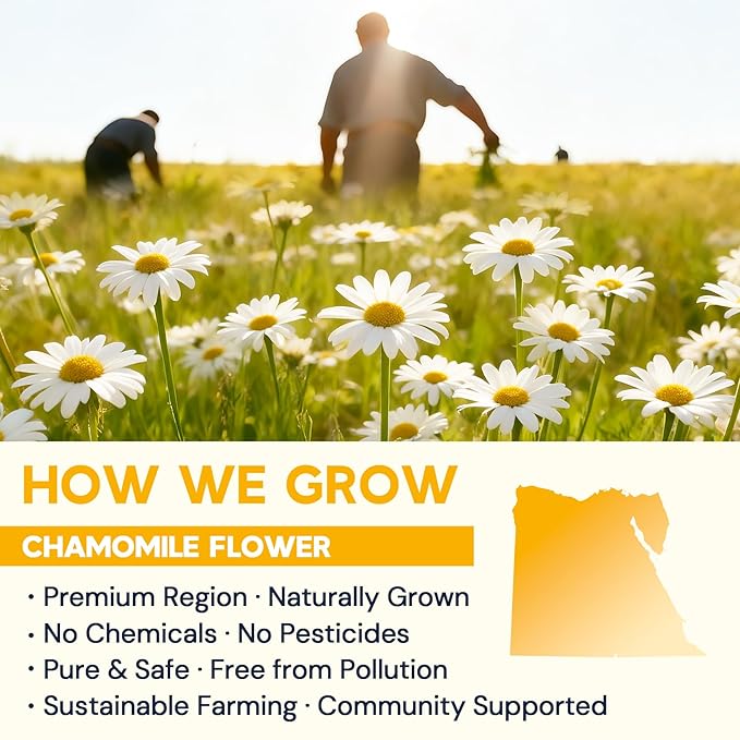 Chamomile Tea Bags, Chamomile Flower Herbal Tea with Sugar-Free, Caffeine-Free, 80 Teabags