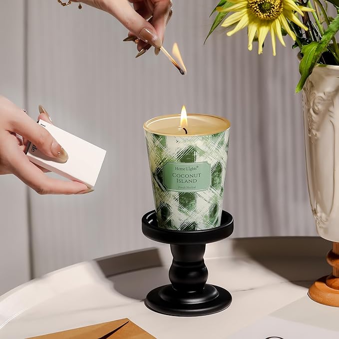 HomeLights 1-Wick Candles for Home Scented - 6.7oz Soy Wax Blend Candle Long-Lasting Fragrance, Scandinavian Minimalist Design Home Decor and Housewarming Gifts, Coconut Island