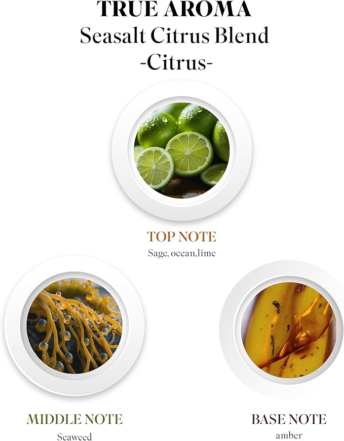 Sea Salt Citrus Essential Oil | Sea Salt Citrus Essential Oils for Aroma Diffusers | Natural Sea Salt Essential Oil for Diffuser | Aromatherapy Essential Oils | Essential Oil Blends - 60 ML
