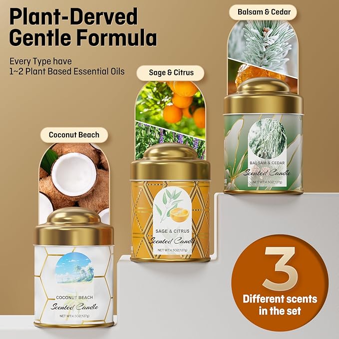 3-Pack Aromatherapy Candle Set - Scented Candles | 4.5oz × 3 | 75+ Hour Total Burn | Natural Soy Candles for Home, Gifts & Christmas