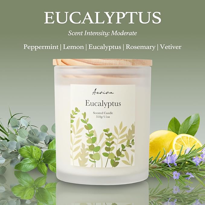 Eucalyptus Scented Candle, 11oz 60 Hour Burn, Natural Soy Wax with Thick Cotton Wick, Highly Scented Aromatherapy Candle for Stress Relief & Meditation, Gifts for Women & Men