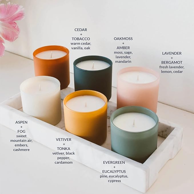Calyan Wax Co. Dignity Series Scented Candle Gift Set - 6 Scented Candles - 35 Hour Burn - Luxury Non Toxic Soy Wax Candles - Long Lasting Colorful Ceramic Jar Candle for Home - 5.3oz