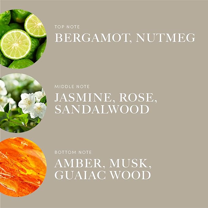 Aroma360 | Disney | Sassy Petals Fragrance Oil Blend | Daisy Duck | Luxury Aromatherapy Scent Diffuser Oil | Bergamot, Rose and Amber 1.7 fl oz, 50 mL
