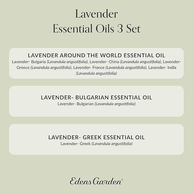 Edens Garden Lavender Essential Oils 3 Set – 100% Pure Therapeutic Grade, Aromatherapy Floral Scents For Relaxation, Skin, Candle Making & Diffusers – Natural, Vegan & Fragrance Oil Free, 10 ml/3 Pack