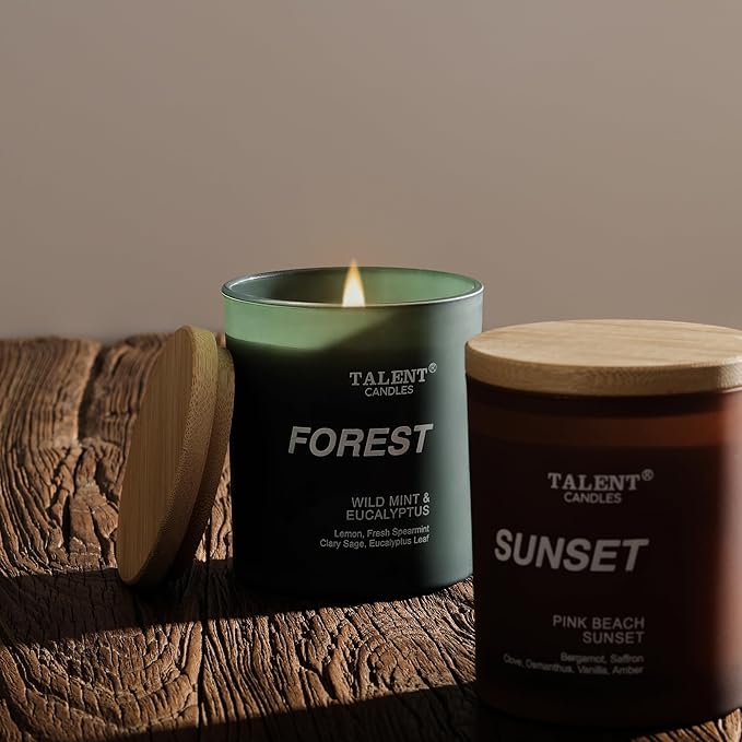 Candles for Home Scented, Natural Soy Wax, Scented Candle Stress Relief and Relaxation, Wild Mint & Eucalyptus, Medium Jar, Ideal for Home and Bedroom Decor