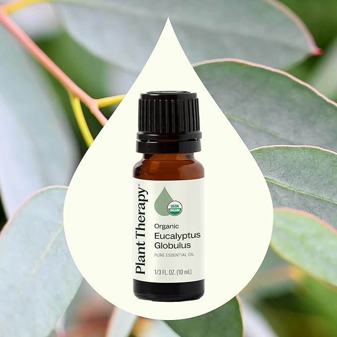 Plant Therapy Organic Eucalyptus Globulus Essential Oil 100% Pure, USDA Certified Organic, Undiluted, Natural Aromatherapy, Therapeutic Grade 10 mL (1/3 oz)