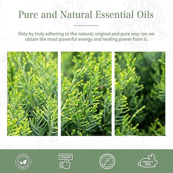 Cypress 3.38fl.oz Essential Oil, PHATOIL Aromatherapy Essential Oils for Diffuser, Humidifier, Perfect for DIY Soap, Candle, Bath Bombs Making(100ml)