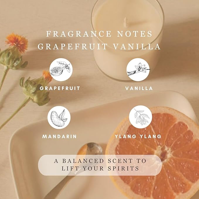 PERIPETI Home Grapefruit + Vanilla Soy Candle - Long-Lasting Scented Candle with Classic Wick for Relaxing Aromatherapy - 8.5oz Natural Wax for Home, Spa, or Gift