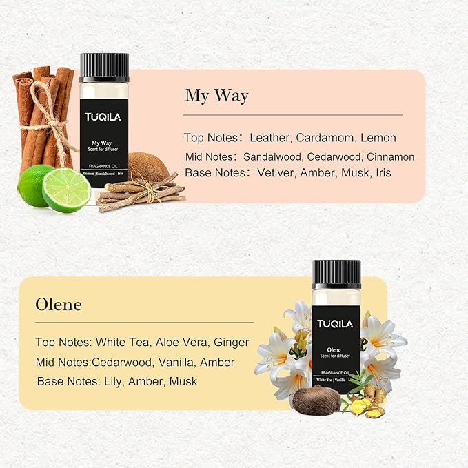 Waterless Diffuser Essential Oil Set(6X 20mL), Hotel Luxury Aroma Scent Oil My Way,Olene, Candy Mints, Mysterious, Bergamote Usage Cold Air Diffuser Oils Aromatherapy for Home, Office, Car