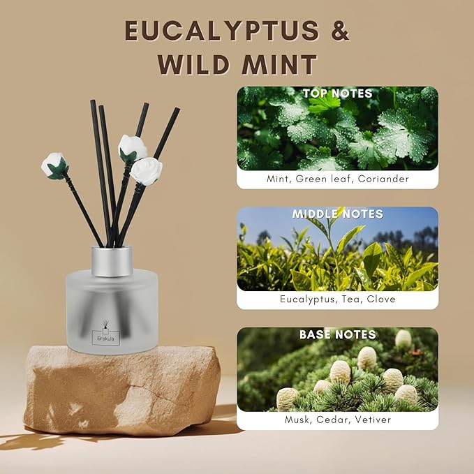 Brakula 2 Pack Reed Diffuser Set, Eucalyptus & Wild Mint Scented, Home Fragrance with 14 Sticks Bathroom Decor, Reed diffusers for Home 6.76 fl oz (Eucalyptus & Wild Mint)