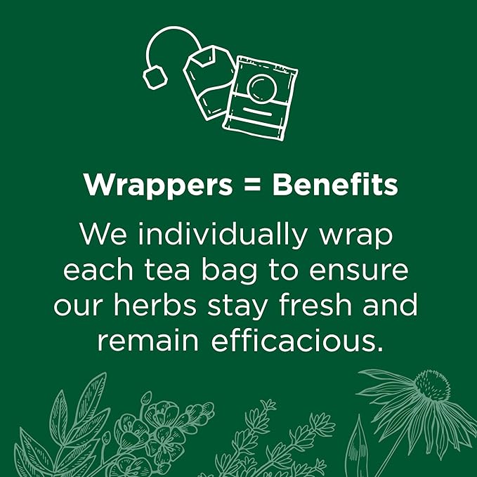 Traditional Medicinals Tea, Organic Spearmint, Supports Everyday Wellness, Healthy & Refreshing - 48 Tea Bags