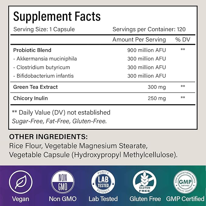 120 Probiotic Capsules - 900 Million AFU of Akkermansia, Clostridium, Bifidobacterium. Added Prebiotic Chicory and Green Tea Exact. Gluten Free - Vegan - Non GMO.