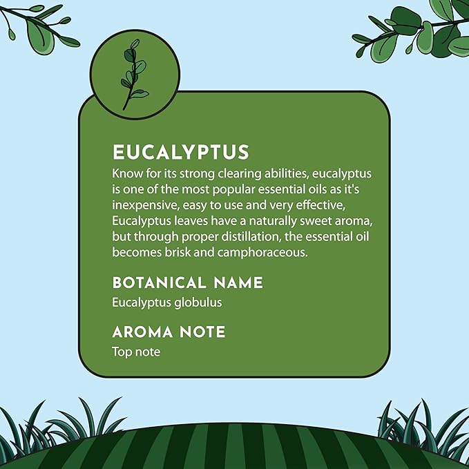16 fl oz - Eucalyptus Essential Oil (100% Pure & Natural) Large Aluminum Bottle for Aromatherapy, Diffuser, Candle & Soap Making - Minamino Blends