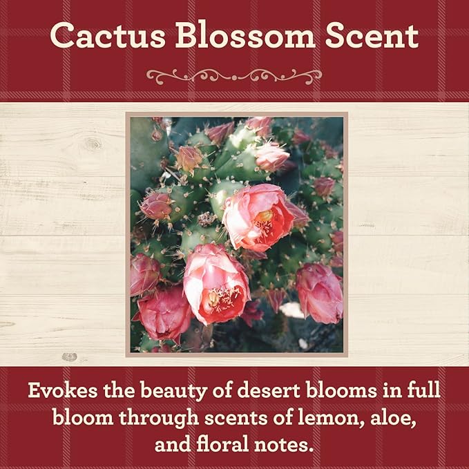 Our Own Candle Company, Cactus Blossom Scented Mason Jar Candle, 100 Hour Burn Time, 13 Ounces