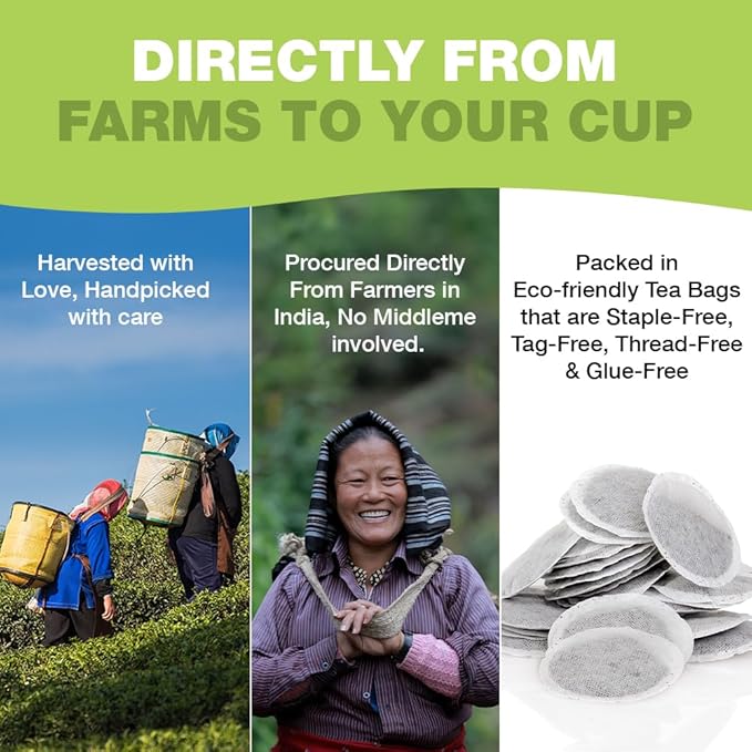 HANDPICK, Organic Green Tea Bags - 100 Eco-Friendly Tea Bags | USDA Organic | Resealable Pack for Freshness | Delicate & Flavory | Direct From India