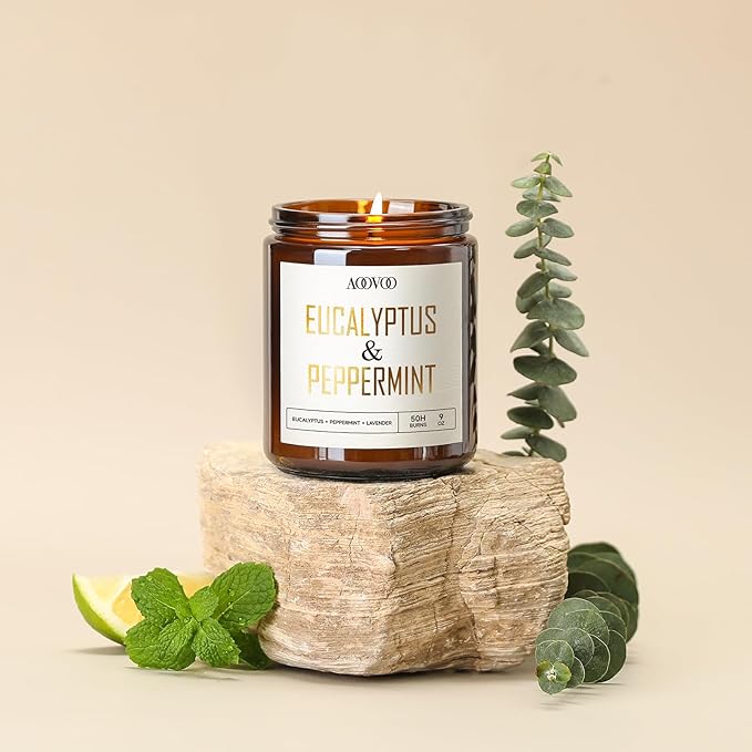 AOOVOO Eucalyptus Mint Candles - 9 oz Scented Candles, Aromatherapy Candle, Soy Candle for Home Scented