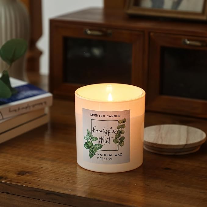 Eucalyptus & Mint Scented Candle,White Candles for Home Scented,Aromatherapy Candle,Stress Relief Candle,Christmas Gift for Women Men,Natural Soy Wax Candle,11oz