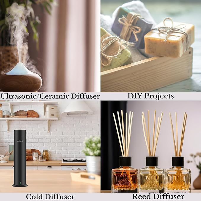 Scentia Hotel Diffuser Oil Inspired by 5-Star Hotel Scent - 50 mL 1.69 fl oz - Essential Oil Blend Botanical Jasmine, Bergamot & Fresh Marine Notes Aromatherapy Diffusers - Cabana, Thanksgiving Gift