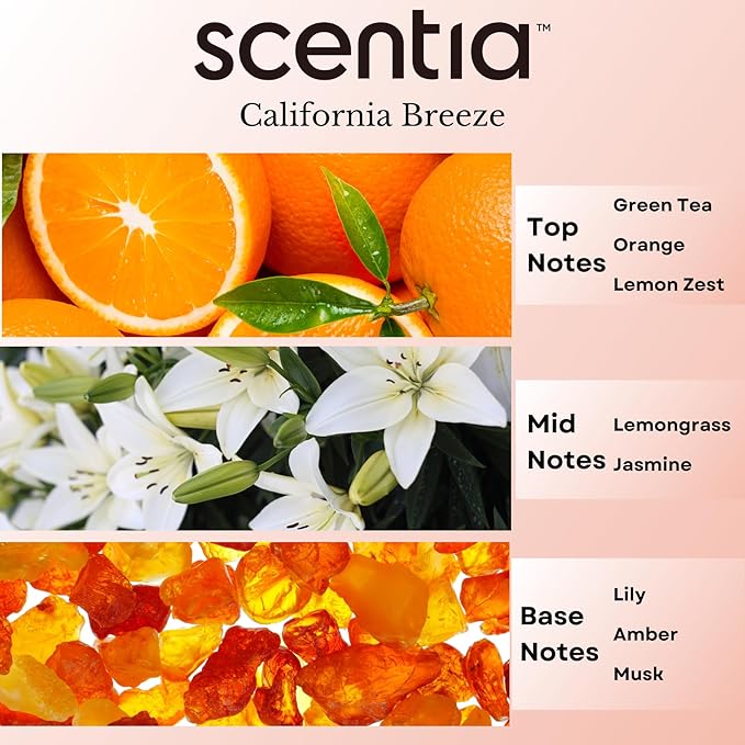 Scentia Hotel Diffuser Oil Inspired by The Delano Beach Club Hotel Scent - 20 mL 0.67 fl oz - Essential Oil Blend Orange, Green Tea & Jasmine for Aromatherapy Diffusers - California Breeze