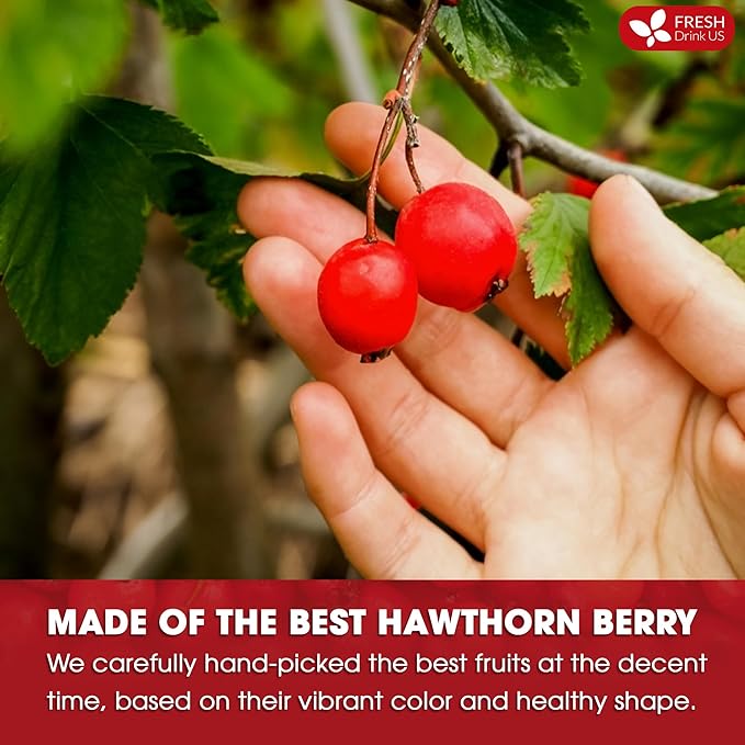FreshDrinkUS, Premium Hawthorn Berry Tea - 75 Tea Bags - 100% Natural Herbal Infusion, Caffeine-Free, Rich Aroma & Smooth Taste. Vegan