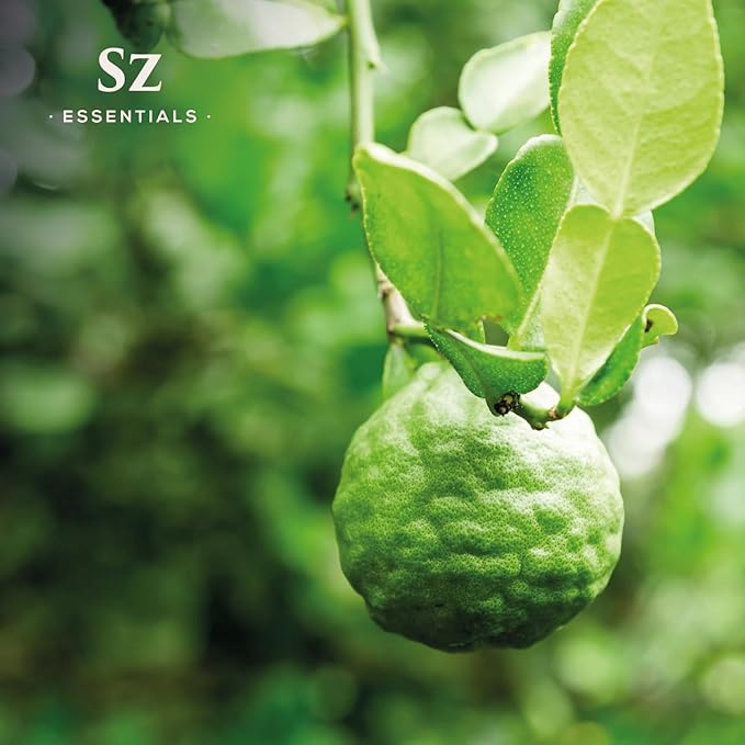 Kaffir Lime Leaf Essential Oil -100% Pure and Undiluted - Extracted from Citrus Hystrix Leaves - Earthy & Citrusy Scent with Fruity Overtones - Therapeutic Grade & Vegan - 0.17oz (5ml)