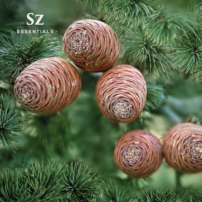 Cedarwood Essential Oil (Cedrus Atlantica) – Therapeutic Grade, 100% Pure & Natural with Soothing Woodsy Aroma for Relaxation, Aromatherapy, Skin Care & Diffuser - 0.17 fl oz. (5ml)