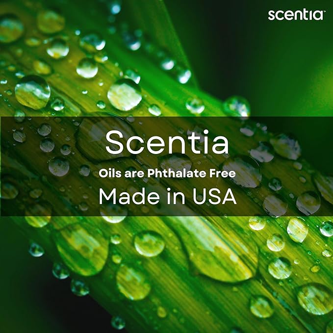 Fierce-Inspired Diffuser Oil - Scentia You Fragrance Oil Perfume Dupe - 500mL, 16.7 Fl oz Aromatherapy Diﬀusers and Humidifiers - A & F Inspired Natural Essential Scented Oil, Thanksgiving Gift