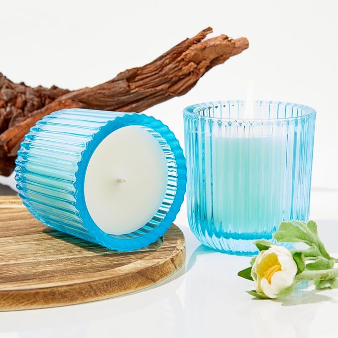 Hillhouse Naturals Outdoor Seaside Citronella 8oz Candle Colored Glass 50+ Hour Burn. 100% Soy Wax Blend. Made in The USA