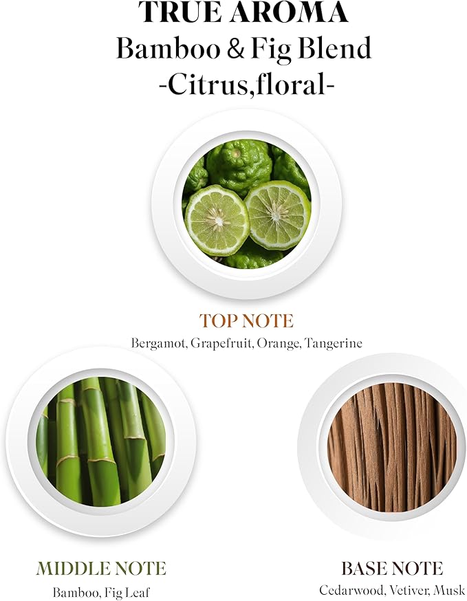 Bamboo & Fig Essential Oil | Bamboo Essential Oils for Aroma Diffusers | 100% Natural Bamboo Oil for Diffuser | Pure Aromatherapy Essential Oils | Essential Oil Blends - 60 ML