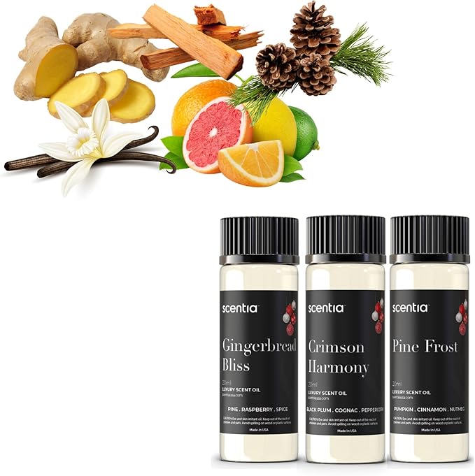 Scentia Fragrance Oil Set for Diffusers & Candle Making – Forest Fresh Pine, Bright Citrus Woods & Warm Gingerbread Bakery – 3 Aromatherapy Scents, 20ml DIY Craft Gift Set, Made in USA