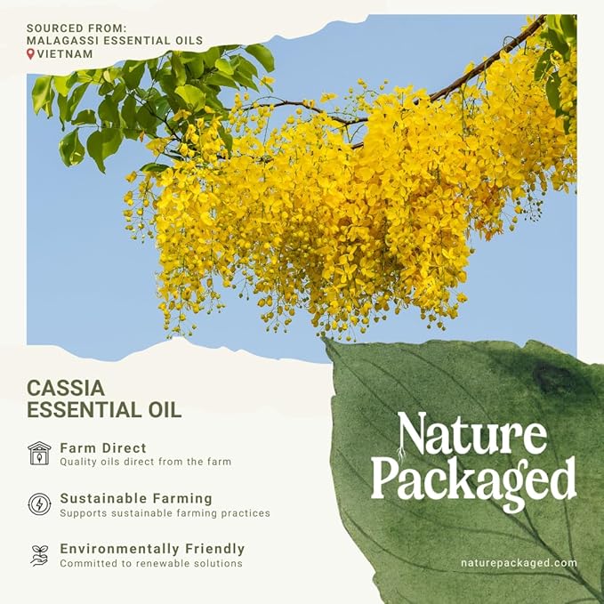 Cassia Essential Oil - Direct from Vietnamese Mountain Farms - Steam Distilled - Aceite de Casia for Aromatherapy, Massage, Diffuser, DIY Candle and Soap Making - 15ml