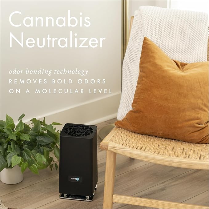 ScentAir Whisper Home Monthly Plug-in Refill, Fragrance Cartridge for Home and Office, Cannabis Neutralizer