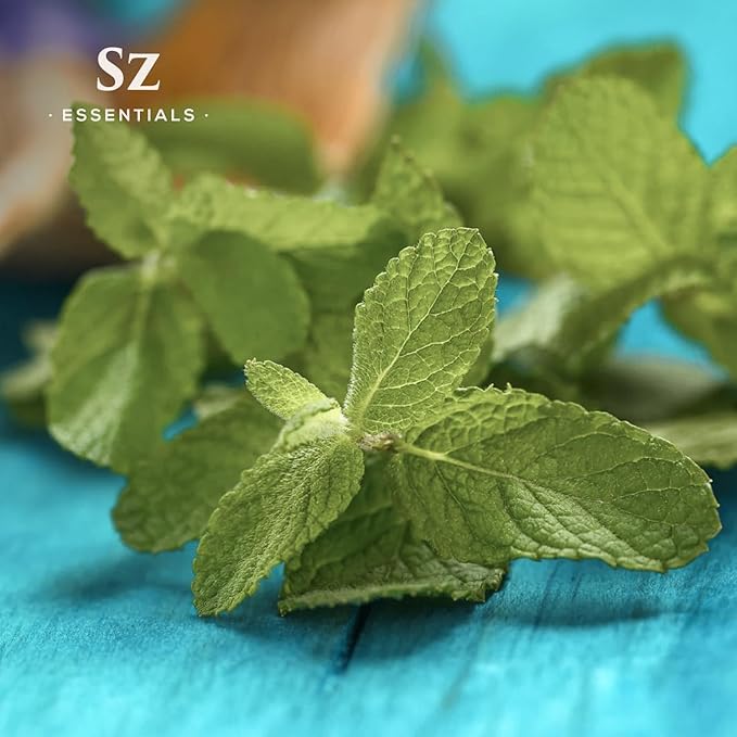 Muna Muna Andean Mint Essential Oil (Minthostachys Mollis) - 100% Pure and Undilluted - Rich & Fresh & Minty Scent with Earthy Overtones - Therapeutic Grade & Vegan - 0.17oz (5ml)