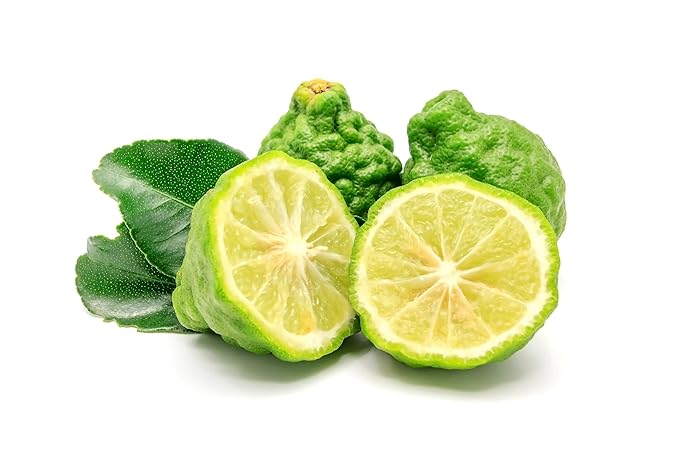 US Organic 100% Pure Bergamot Essential Oil, USDA Certified Organic, Cold Pressed, with Euro droppers (More Size Variations Available) (30 ml / 1 fl oz)