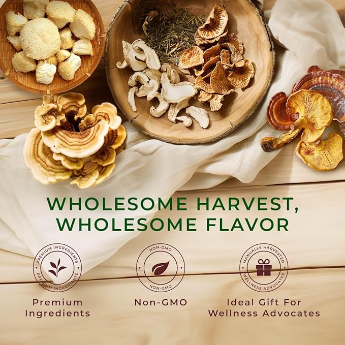 Gya Tea Co Mushroom Medly Tea Pod Collection Gift Set (16 Count) - Different Flavors Assorted Variety Pack