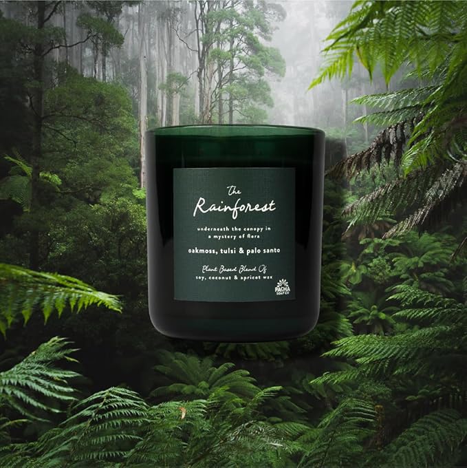 Pacha Soap Co. Rainforest Candle - Oakmoss, Tulsi and Palo Santo Scented, Soy, Coconut & Apricot Wax Blend, Cotton Wick, 60+ Hour Burn Time, Long-Lasting, Recyclable, Paraffin-Free, Made in USA, 12 oz