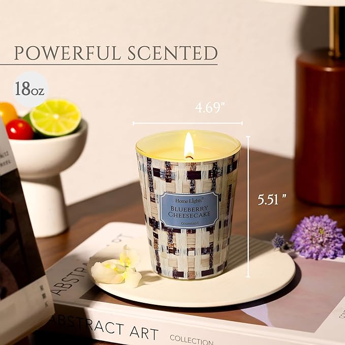 HomeLights Scented Candles for Women & Men, 6.7oz Candle Jars Aromatherapy Single Wick Candle, Ideal for Rustic Modern Home Decor and Gifts, Blueberry Cheesecake