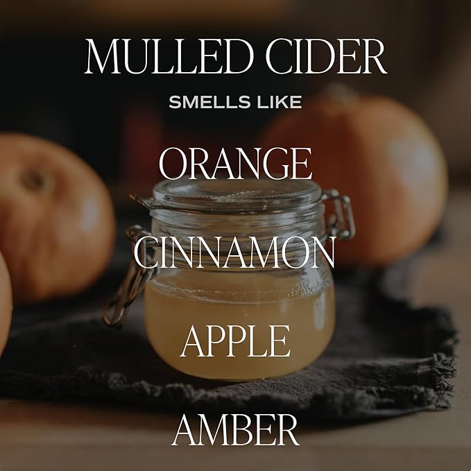 Sweet Water Decor Spiced Apple Cider Soy Candle | Orange, Lemon, and Cinnamon Scented Candle for Home | 15oz Orange Jar, 70+ Hour Burn Time, Made in The USA