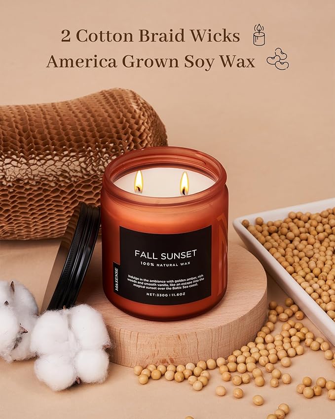 M&SENSE Baltic Amber Fall Scented Candle, 11.6oz Clean Natural Soy Wax Non Toxic Up to 70 Hours Burn Time 2 Cotton Wick Housewarming Candle for Home Scented