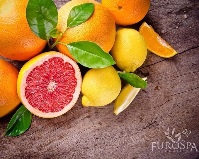 EuroSpa Aromatics Pure Eucalyptus Oil ShowerMist and Steam Room Spray, All-Natural Premium Aromatherapy Essential Oils - Citrus Infused, 2oz, 2 Pack