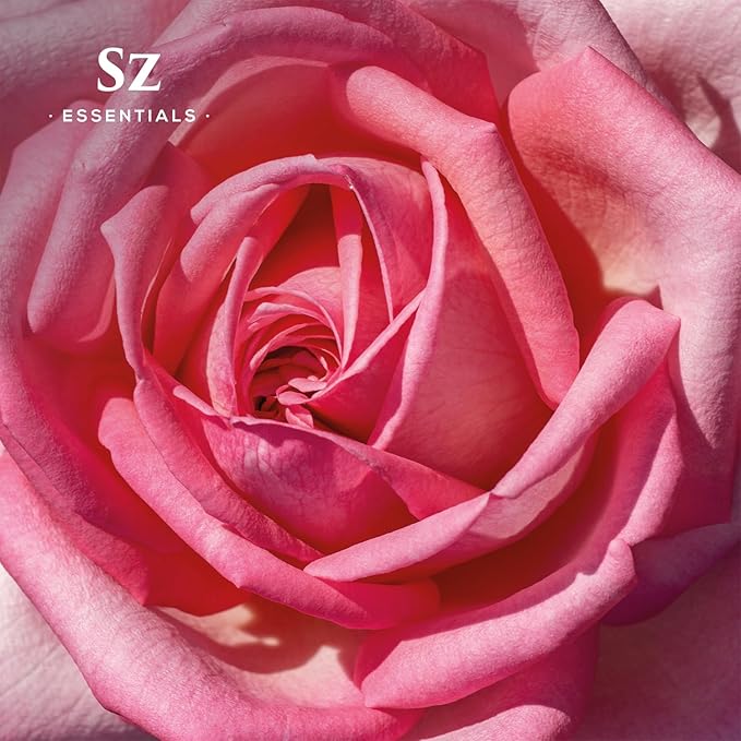 Rose Absolute Essential Oil, 100% Pure and Undiluted - Extracted from Bulgarian Rose (Rosa Damascena) - Rich & Sweet Scent, with Floral Overtones - Therapeutic Grade & Vegan - 0.17oz