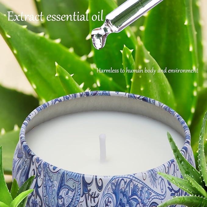 2 Pack Scented Candles, 2.5 oz Aromatherapy Candles for Home Scented, Natural Soy Candles with Floral Scents, Portable Small Jar Candle Set for Travel, Spa, Bath, Home Decor Tin Candle Pack